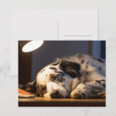 CARTE POSTALE CHIEN DALMATE ENDORMI POSTCROSSING (Devant / Derrière)
