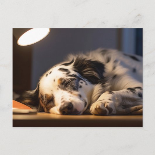 CARTE POSTALE CHIEN DALMATE ENDORMI POSTCROSSING (Devant)