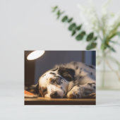 CARTE POSTALE CHIEN DALMATE ENDORMI POSTCROSSING (Debout devant)