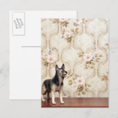 Carte Postale Chien d'Alta (Devant / Derrière)