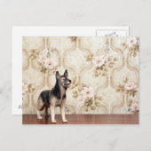 Carte Postale Chien d'Alta (Devant / Derrière)