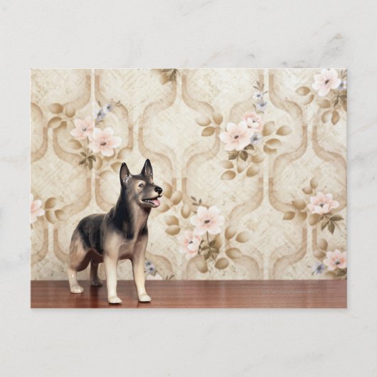 Carte Postale Chien d'Alta (Devant)