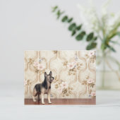 Carte Postale Chien d'Alta (Debout devant)