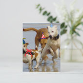 Carte Postale chien d'anniversaire heureux (Debout devant)