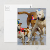 Carte Postale chien d'anniversaire heureux (Devant / Derrière)