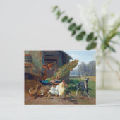 Carte Postale Chien dans la coop de poulet (Debout devant)
