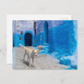 Carte Postale Chien dans la ville bleue (Devant / Derrière)