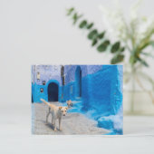 Carte Postale Chien dans la ville bleue (Debout devant)