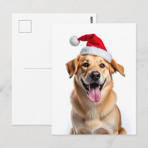 Carte Postale Chien dans le chapeau du Père Noël