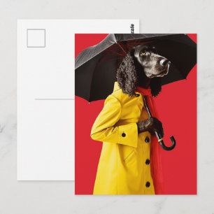 Carte Postale Chien dans un imperméable jaune