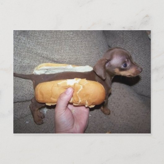 Carte Postale Chien dans un petit biberon (Devant)