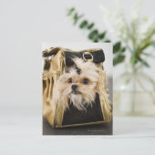 Carte Postale Chien dans un sac (Debout devant)