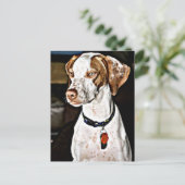 Carte Postale Chien Dapper (Debout devant)