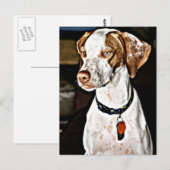 Carte Postale Chien Dapper (Devant / Derrière)