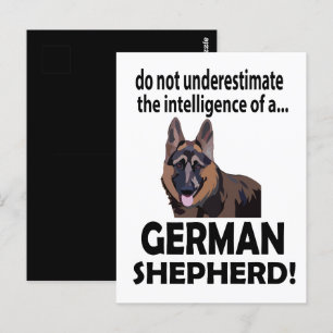 Carte Postale Chien de berger allemand animal de compagnie allem