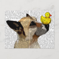 Chien de berger allemand et canard