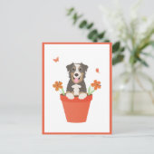 Carte Postale Chien De Berger Australien En Pot De Fleurs (Debout devant)