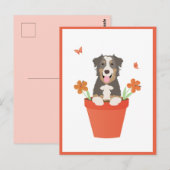 Carte Postale Chien De Berger Australien En Pot De Fleurs (Devant / Derrière)