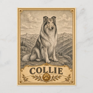 Carte Postale Chien de berger, Collection Héritage Vintage