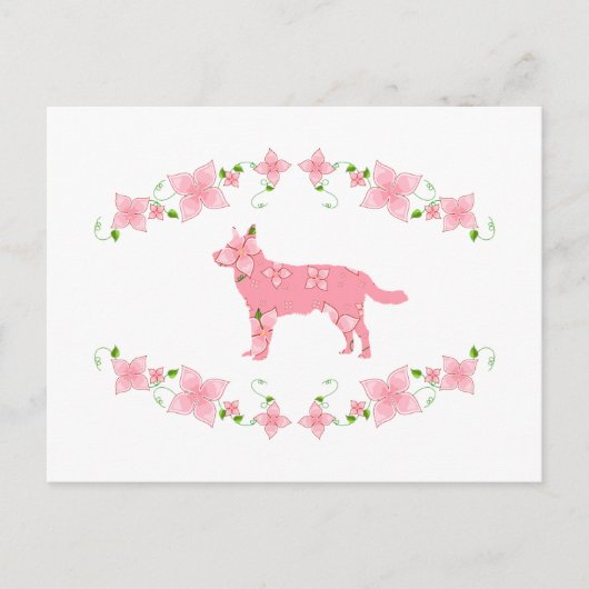 Carte Postale Chien de bétail australien (Devant)