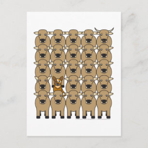 Carte Postale Chien de bétail australien dans le troupeau