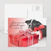 Carte Postale Chien de Boston Terrier (Devant / Derrière)