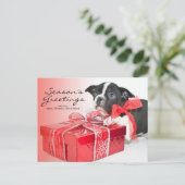 Carte Postale Chien de Boston Terrier (Debout devant)
