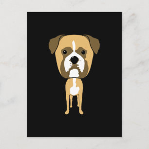Carte Postale Chien de boxe. Tête surdimensionnée.