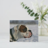 Carte Postale Chien de boxeur dans la neige (Debout devant)