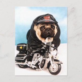 Carte Postale Chien de Carlin de vélo