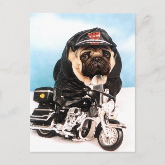 Carte Postale Chien de Carlin de vélo (Devant)