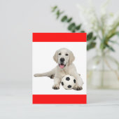 Carte postale Chien de Chien de Chien de Chien de (Debout devant)