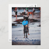 Carte Postale Chien de Frisbee (Devant / Derrière)