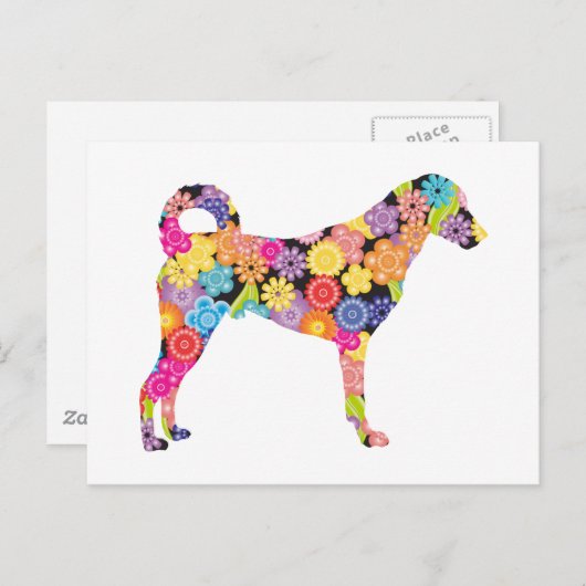 Carte Postale Chien de Kangal (Devant / Derrière)