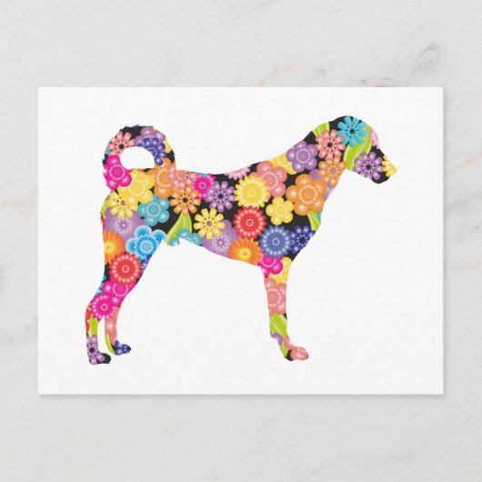 Carte Postale Chien de Kangal (Devant)