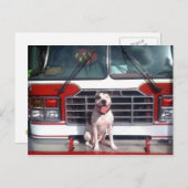 Carte Postale Chien de la caserne de pompier taureau T-Bone (Devant / Derrière)