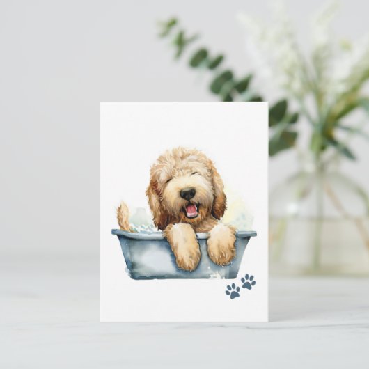 Carte Postale Chien de Labradoodle (Debout devant)