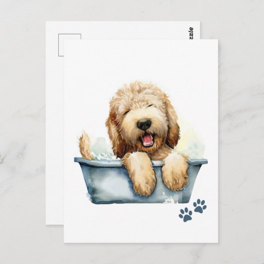 Carte Postale Chien de Labradoodle (Devant / Derrière)