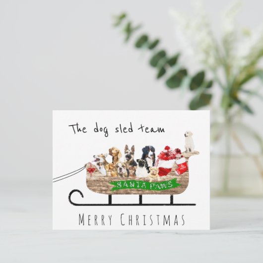 Carte Postale Chien de l'équipe de traîneau à chiens père Noël t (Debout devant)