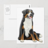 Carte postale Chien de Montagne Bernese (Devant / Derrière)