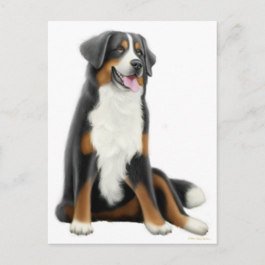 Carte postale Chien de Montagne Bernese (Devant)
