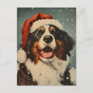 Carte Postale Chien de montagne bernois