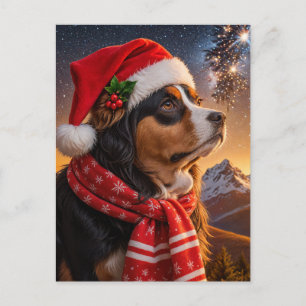 Carte Postale Chien de montagne bernois au chapeau de Père Noël