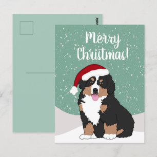 Carte Postale Chien de montagne bernois de Noël