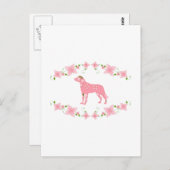 Carte Postale Chien de montagne suisse (Devant / Derrière)