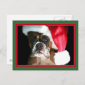 Carte postale Chien de Noël (Devant / Derrière)