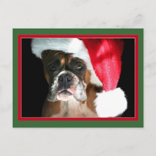Carte postale Chien de Noël