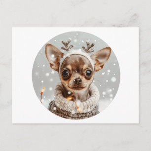 Carte Postale Chien de Noël Chihuahua Renne