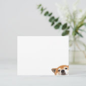 Carte Postale Chien de Pékin mignon (Debout devant)