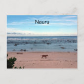 Carte Postale chien de plage de nauru (Devant)